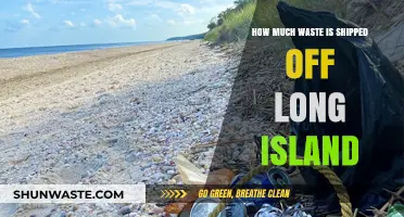 Long Island's Hidden Waste: Uncovering the Truth Behind Our Exports