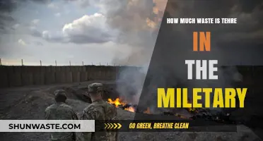 Unveiling the Hidden Costs: Waste in Military Operations