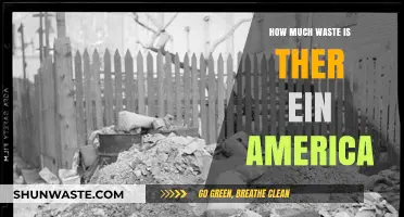 America's Waste Crisis: A Deep Dive into the Numbers