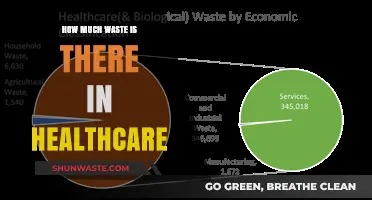 Unveiling the Hidden Waste in Healthcare: A Comprehensive Analysis
