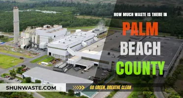 Unveiling the Hidden Waste Crisis in Palm Beach County