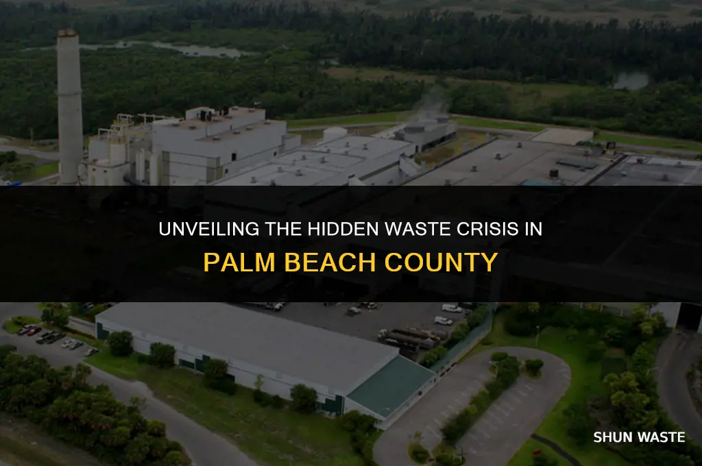 how much waste is there in palm beach county