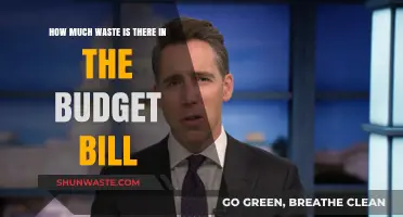 Unveiling the Hidden Waste in the Budget Bill: A Deep Dive