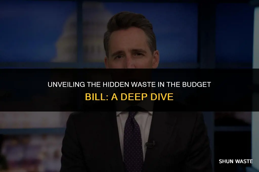 how much waste is there in the budget bill