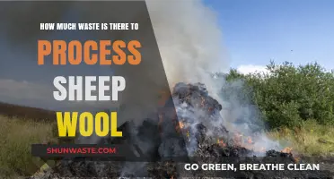 Sustainable Sheep Wool: Unraveling the Waste Processing Dilemma