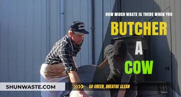 Unveiling the Hidden Costs: Waste in the Butchering Process
