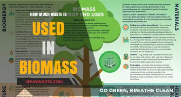 Sustainable Energy Insights: The Biomass Waste Conundrum