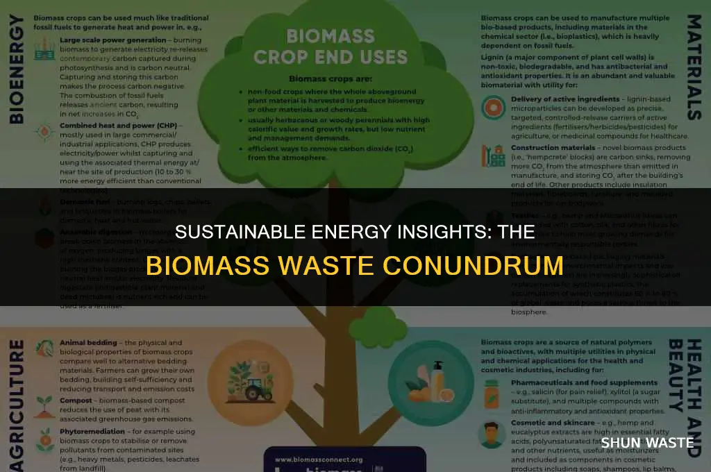 how much waste is used in biomass
