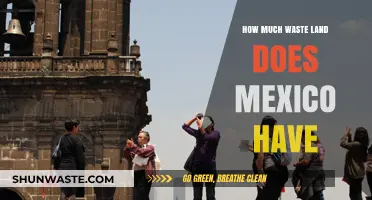 Exploring Mexico's Wasteland: A Deep Dive into the Country's Unused Territories