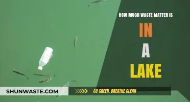 Unveiling the Hidden Depths: Waste Matter in Our Lakes