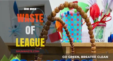The Hidden Cost of Competition: Wasted Resources in the League