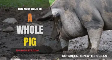 From Farm to Table: Understanding the Waste in a Whole Pig