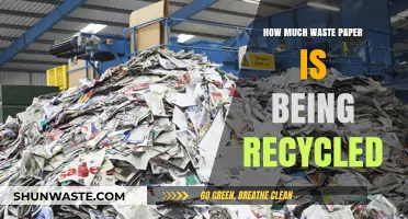From Trash to Treasure: The Journey of Waste Paper Recycling