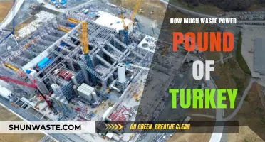 Gobble Gobble: Uncovering the Hidden Waste in Your Turkey Feast