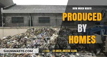 Home Waste Production: Understanding the Environmental Impact of Households