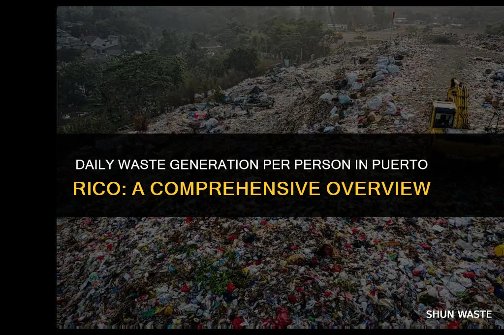 how much waste puerto rico generated per person per day