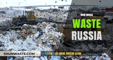 Russia's Waste Crisis: A Deep Dive into the Environmental Impact
