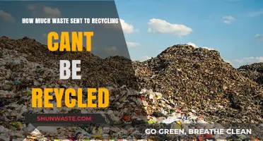 The Hidden Truth: Not All Waste Sent to Recycling Can Be Recycled