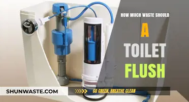Optimal Toilet Flush Volume: Balancing Waste Removal and Water Conservation