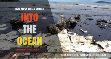 Ocean's Burden: The Alarming Reality of Waste Spillage