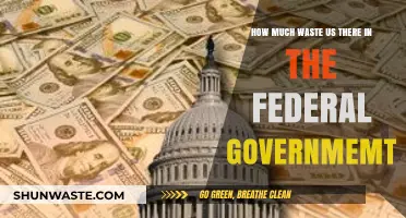 Unveiling the Hidden Waste: A Deep Dive into Federal Government Inefficiencies