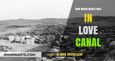 Uncovering the Hidden Horrors: Love Canal's Toxic Legacy
