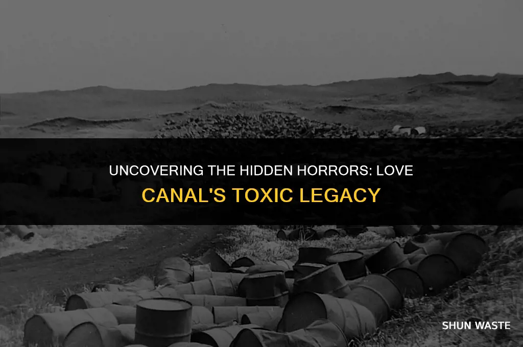how much waste was in love canal