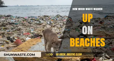 Tides of Trash: The Alarming Amount of Waste Washing Up on Our Beaches