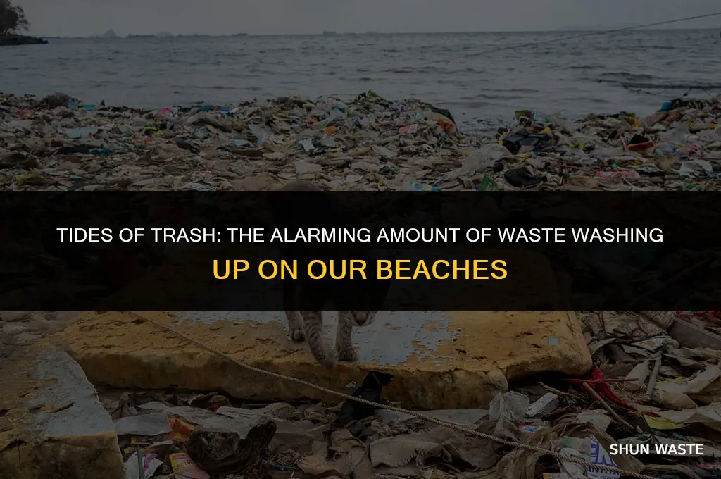 how much waste washed up on beaches