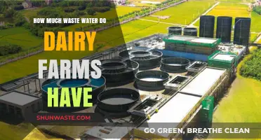 Dairy Farm Wastewater: Understanding the Environmental Impact