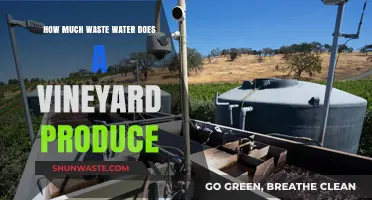 Vineyard Wastewater: Understanding the Environmental Impact of Wine Production
