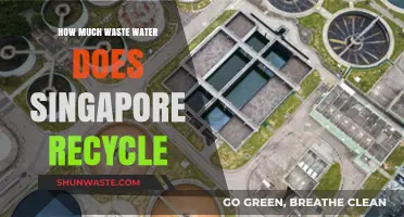Singapore's Wastewater Recycling: A Model for Sustainability