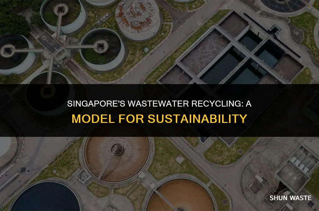 how much waste water does singapore recycle