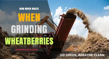 Efficient Wheatberry Grinding: Minimizing Waste, Maximizing Nutrition