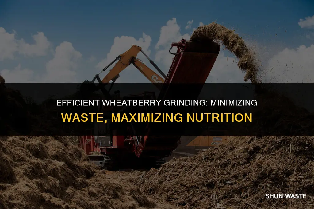 how much waste when grinding wheatberries