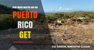Puerto Rico's Aid Dilemma: A Deep Dive into Wasted Resources