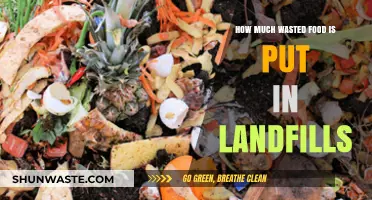 The Shocking Truth About Food Waste in Landfills: A Growing Concern