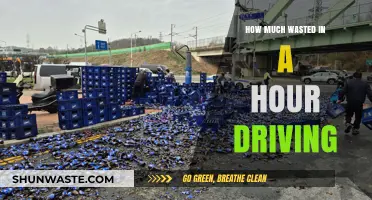 Time and Fuel: The Hidden Costs of Rush Hour Driving