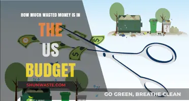 Unveiling the Hidden Waste: A Deep Dive into the US Budget