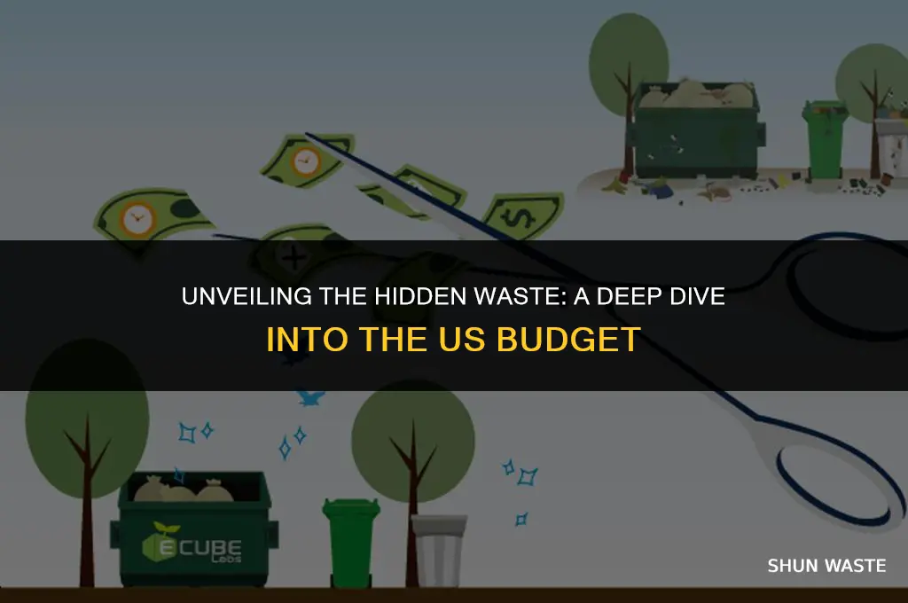how much wasted money is in the us budget