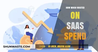 Maximizing SaaS Investments: Strategies to Curb Wasteful Spending