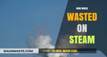 Unveiling the Astonishing Amount of Waste Generated by Steam