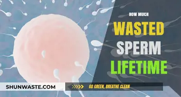 Understanding the Lifespan of Sperm: Myths, Facts, and Fertility