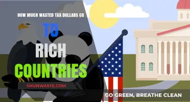 Tax Dollars Squandered: The Hidden Wealth Transfer to Rich Nations