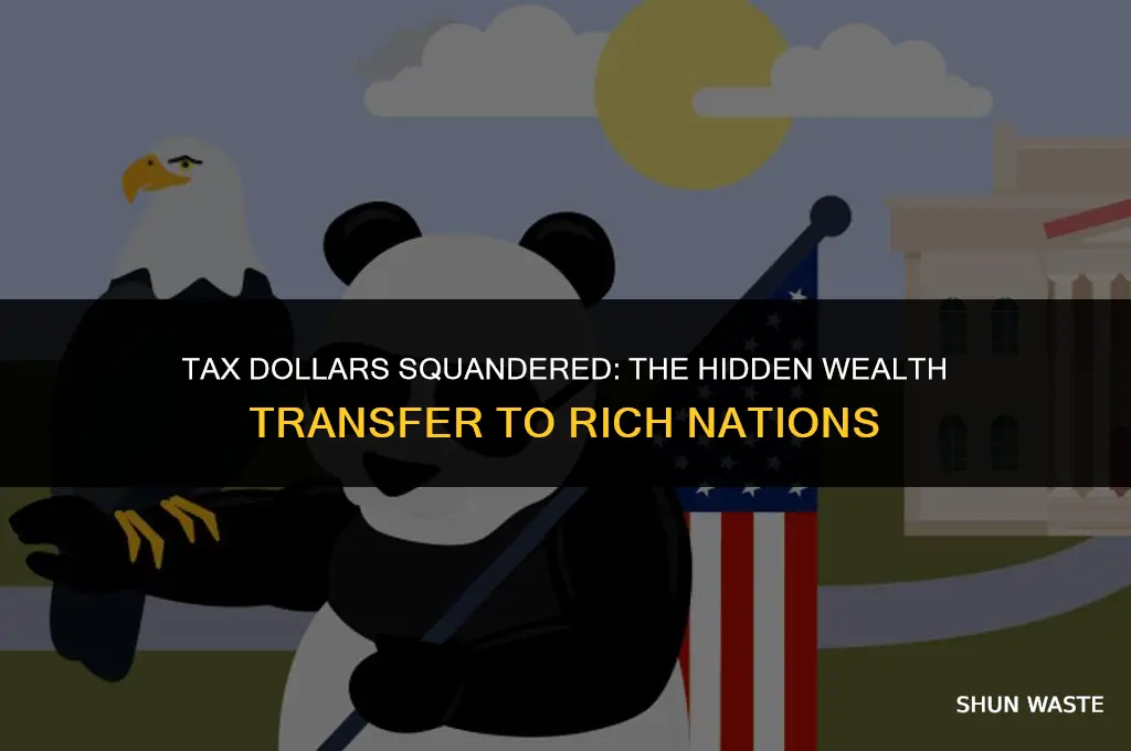 how much wasted tax dollars go to rich countries