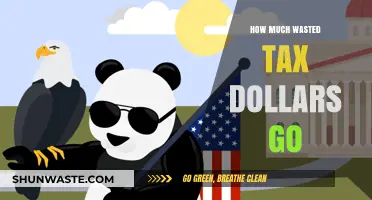 Uncovering the Astonishing Amount of Wasted Tax Dollars