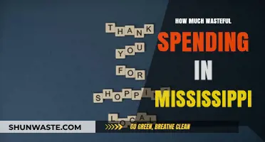 Examining Wasteful Spending in Mississippi: A Fiscal Reality Check