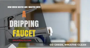 The Hidden Cost of a Dripping Faucet: Water Waste and Your Wallet