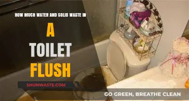 Exploring the Environmental Impact of Toilet Flushes: Water and Waste Breakdown
