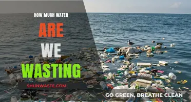 The Hidden Cost of Our Water Waste: A Sobering Reality Check